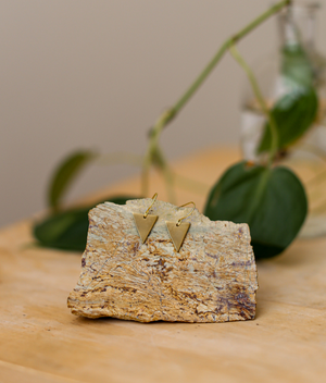 Brass Earrings